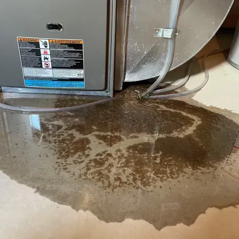 Appliance Leak Cleanup in El Dorado, KS